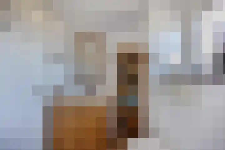 Botter 34 34 6 Lelystad thumbnail 33