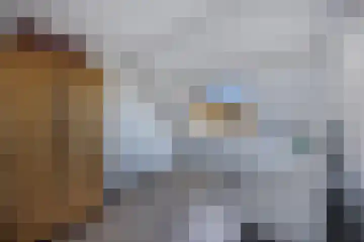 Botter 34 34 6 Lelystad thumbnail 36
