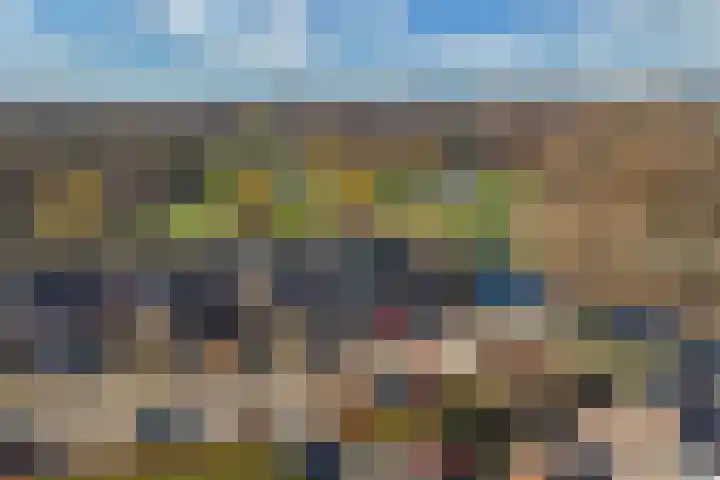 Botter 34 34 6 Lelystad thumbnail 42