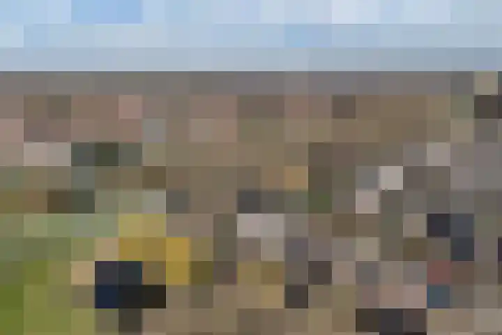 Botter 34 34 6 Lelystad thumbnail 44