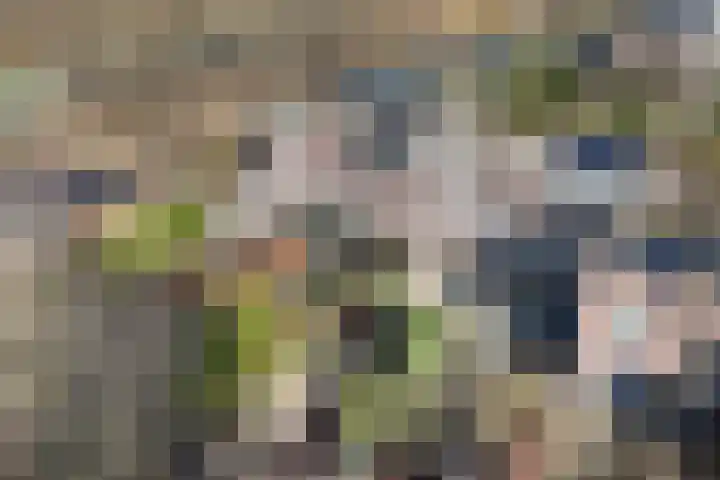 Botter 34 34 6 Lelystad thumbnail 45