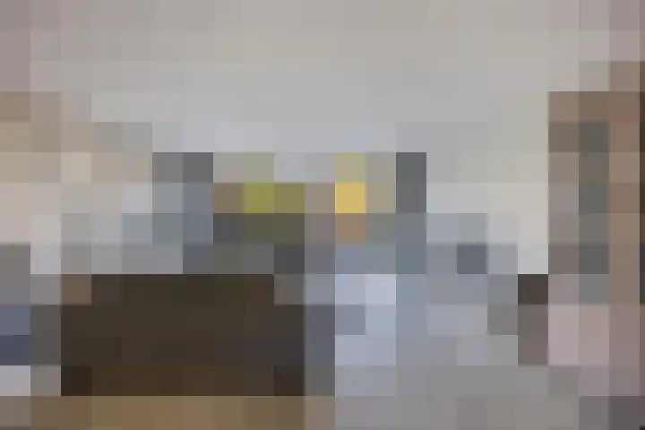 Botter 34 34 6 Lelystad thumbnail 8
