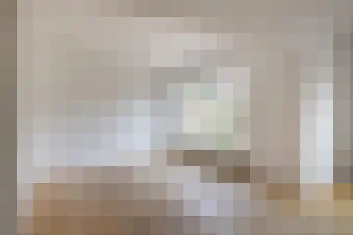 Botter 36 36 13 Lelystad thumbnail 12