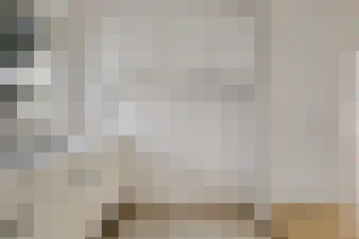 Botter 36 36 13 Lelystad thumbnail 15