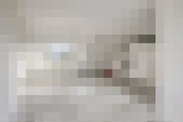 Botter 36 36 13 Lelystad thumbnail 23