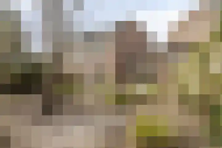 Botter 36 36 13 Lelystad thumbnail 24
