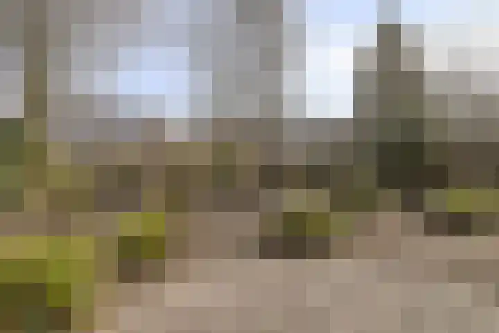 Botter 36 36 13 Lelystad thumbnail 25