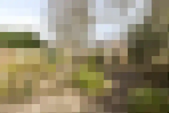 Botter 36 36 13 Lelystad thumbnail 26