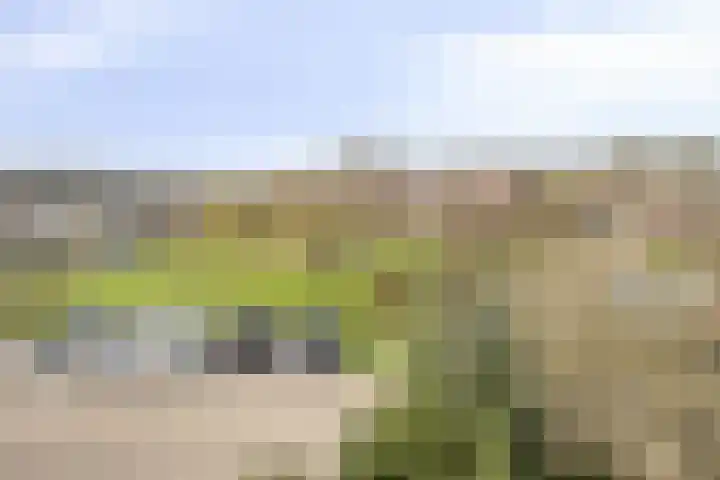 Botter 36 36 13 Lelystad thumbnail 28
