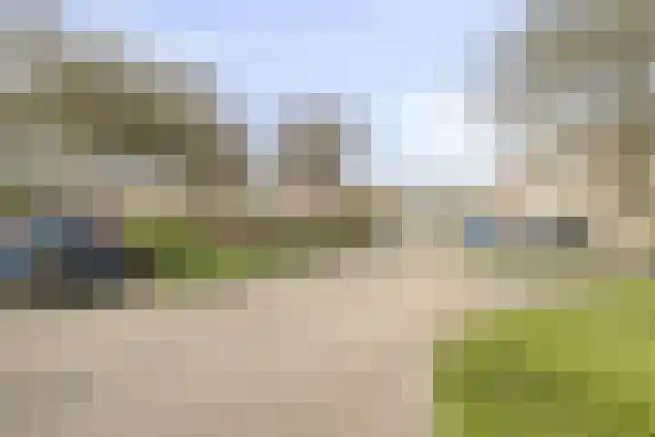 Botter 36 36 13 Lelystad thumbnail 29