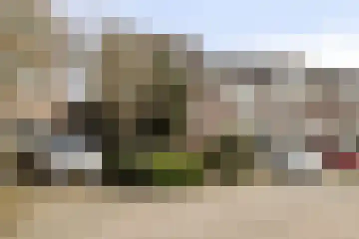 Botter 36 36 13 Lelystad thumbnail 4
