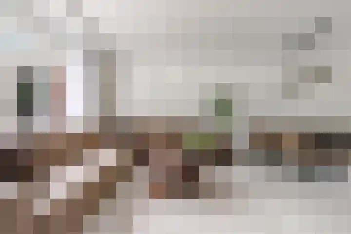 Botter 36 36 15 Lelystad thumbnail 11