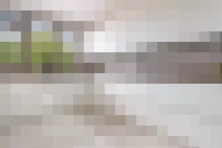 Botter 36 36 15 Lelystad thumbnail 17