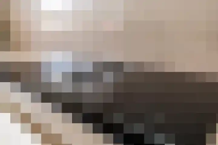 Botter 36 36 15 Lelystad thumbnail 19