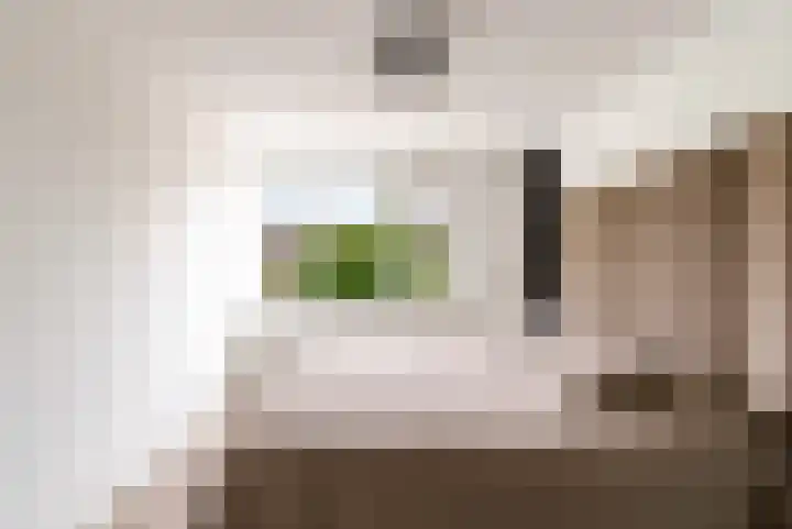 Botter 36 36 15 Lelystad thumbnail 23