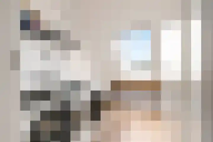 Botter 36 36 15 Lelystad thumbnail 34