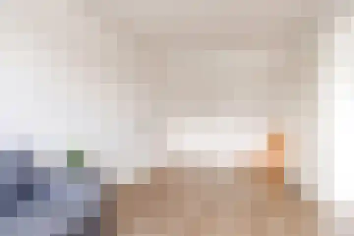 Botter 36 36 15 Lelystad thumbnail 36