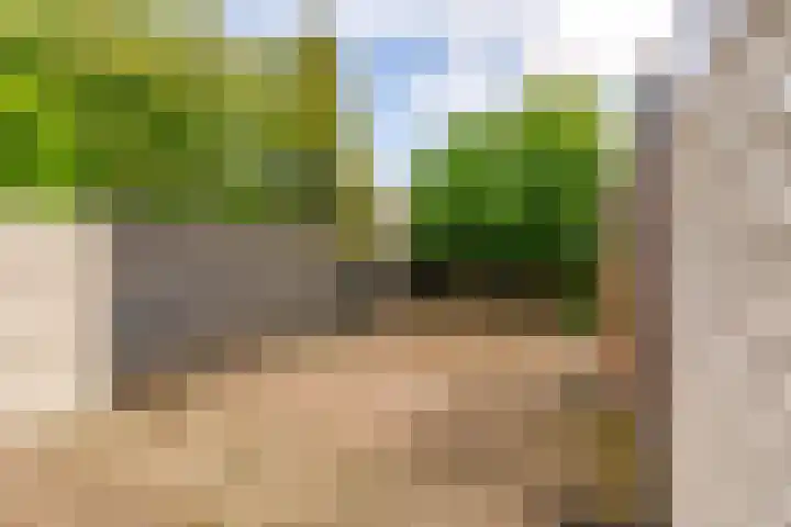Botter 36 36 15 Lelystad thumbnail 39