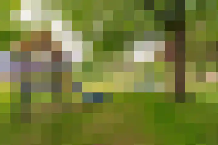 Botter 36 36 15 Lelystad thumbnail 43