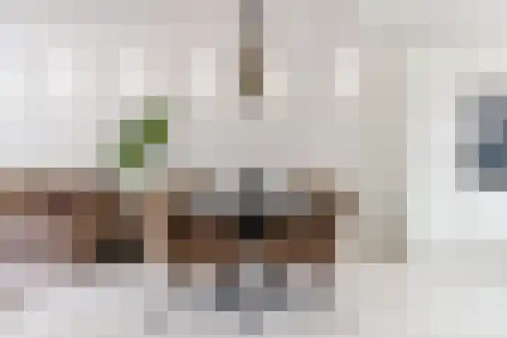 Botter 36 36 15 Lelystad thumbnail 8