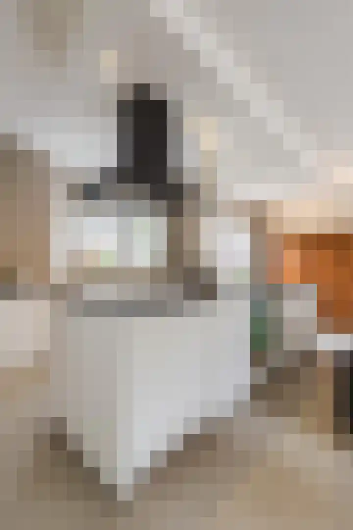 Botter 37 37 1 Lelystad thumbnail 15