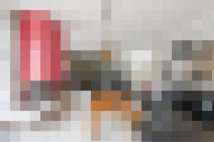 Botter 37 37 1 Lelystad thumbnail 19