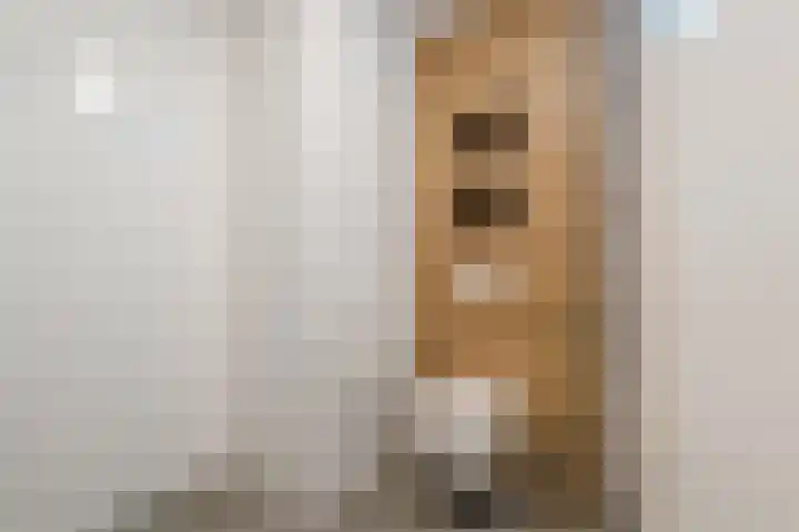 Botter 37 37 1 Lelystad thumbnail 27