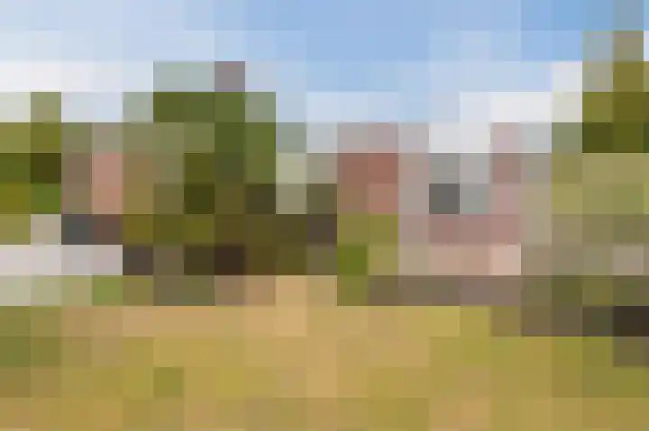 Botter 37 37 1 Lelystad thumbnail 37