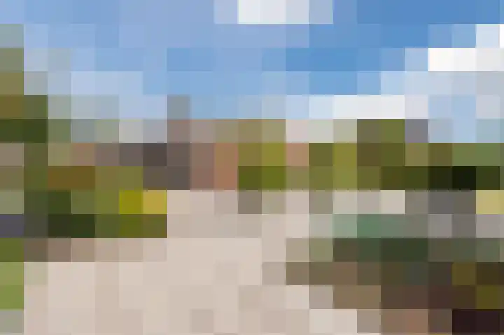 Botter 37 37 1 Lelystad thumbnail 4