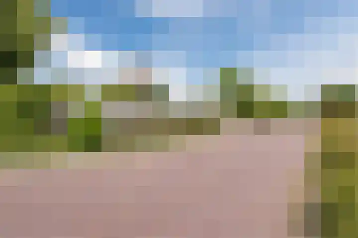 Botter 37 37 1 Lelystad thumbnail 43