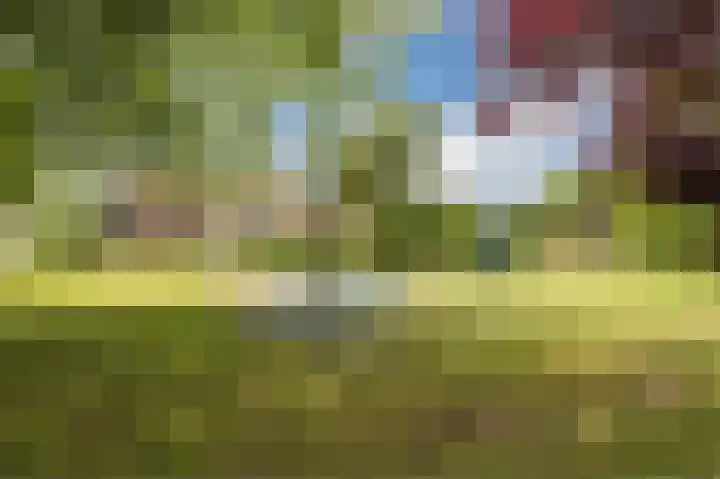 Botter 37 37 1 Lelystad thumbnail 44