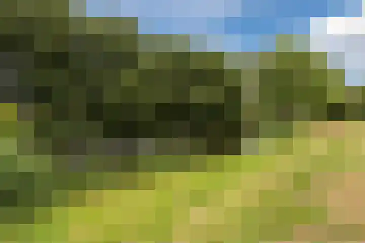 Botter 37 37 1 Lelystad thumbnail 45