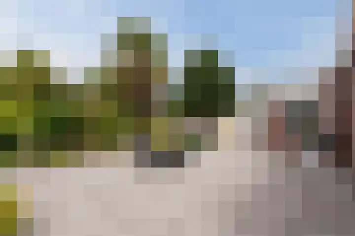 Botter 37 37 1 Lelystad thumbnail 5