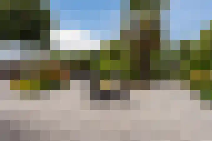 Botter 37 37 1 Lelystad thumbnail 6