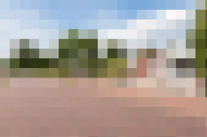 Botter 37 37 1 Lelystad thumbnail 8