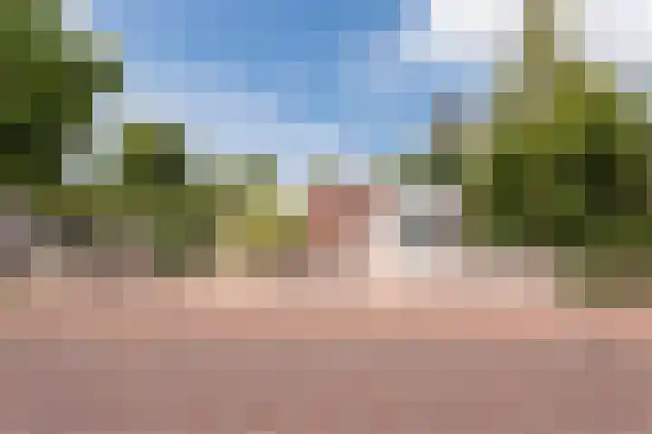 Botter 37 37 1 Lelystad thumbnail 9
