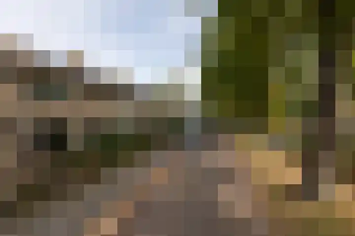 Botter 38 38 44 Lelystad thumbnail 14