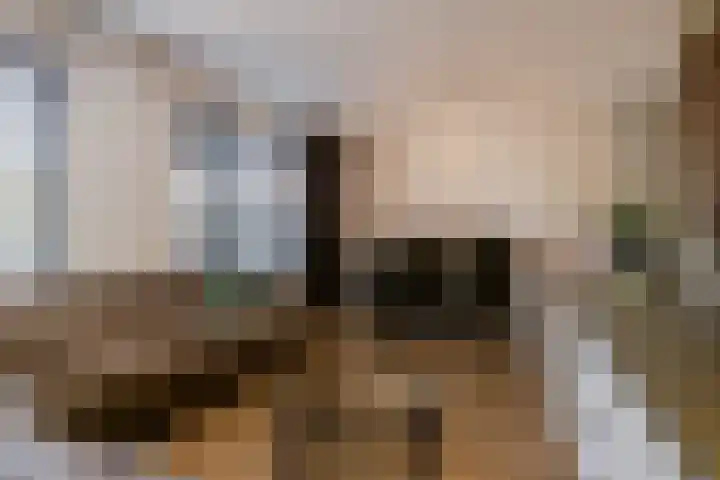 Botter 38 38 44 Lelystad thumbnail 16