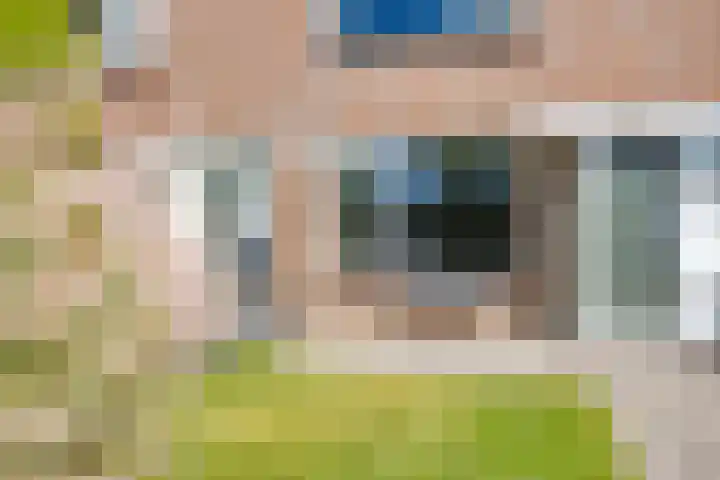 Botter 38 38 44 Lelystad thumbnail 25
