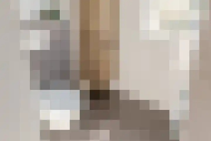 Botter 38 38 44 Lelystad thumbnail 25