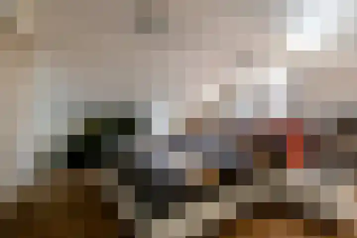 Botter 38 38 44 Lelystad thumbnail 30