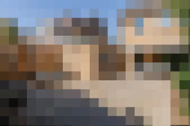 Botter 38 38 44 Lelystad thumbnail 33