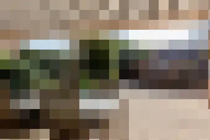 Botter 38 38 44 Lelystad thumbnail 34