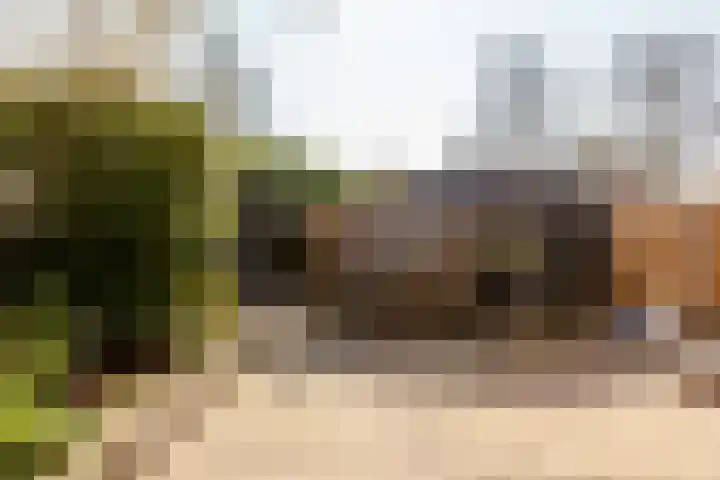 Botter 38 38 44 Lelystad thumbnail 35