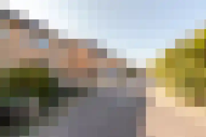 Botter 38 38 44 Lelystad thumbnail 39