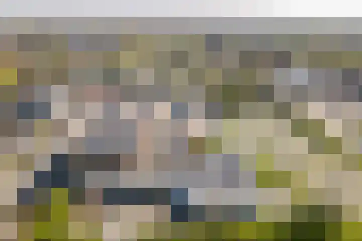 Botter 38 38 44 Lelystad thumbnail 40