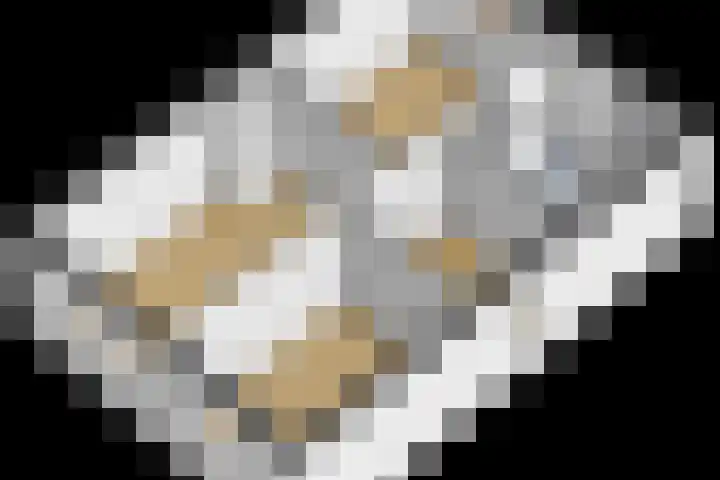 Botter 38 38 44 Lelystad thumbnail 46