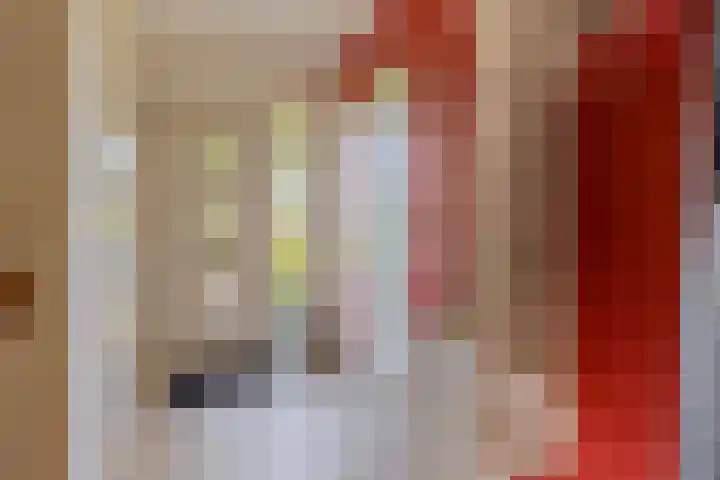 Botter 38 38 44 Lelystad thumbnail 49