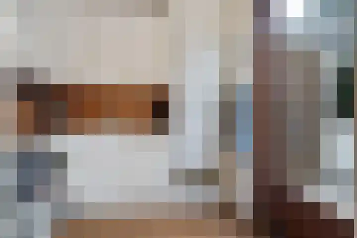 Botter 38 38 62 Lelystad thumbnail 12