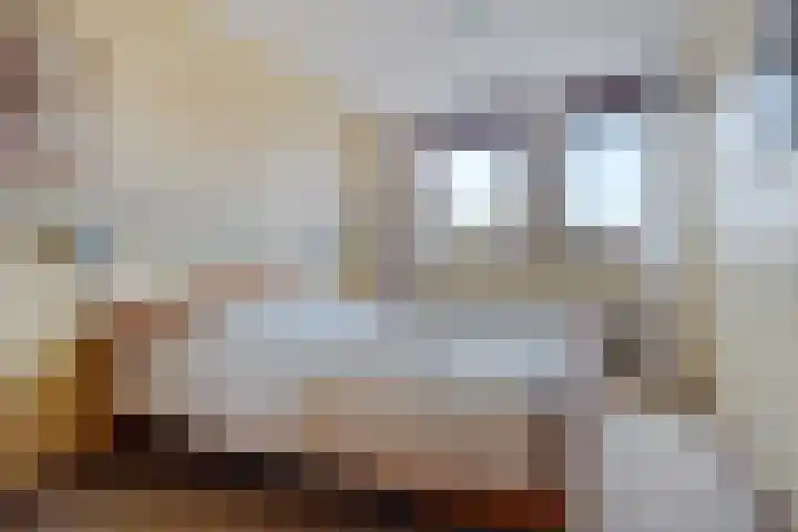 Botter 38 38 62 Lelystad thumbnail 16